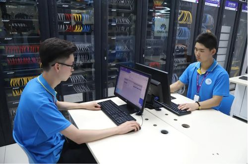 計(jì)算機(jī)專業(yè)還能報(bào)考嗎？從985軟件學(xué)院低就業(yè)率看行業(yè)現(xiàn)狀與理性選擇